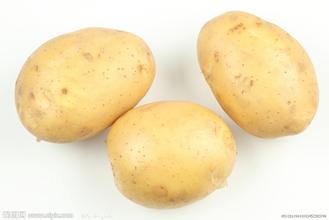 土豆