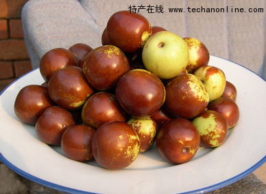 崔庄冬枣