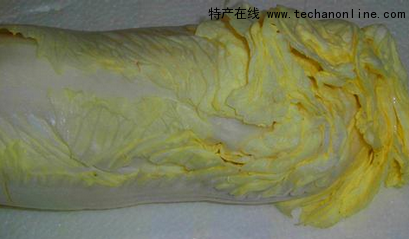 黄芽白菜