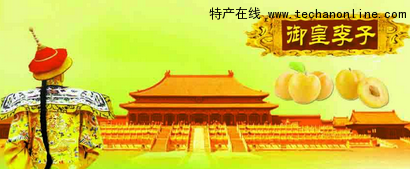 御皇李子
