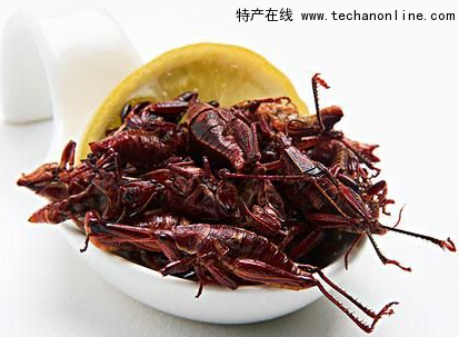 油炸蚂蚱