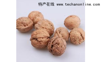 黄花山核桃
