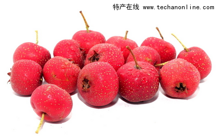 梁后庄村红果(山楂)