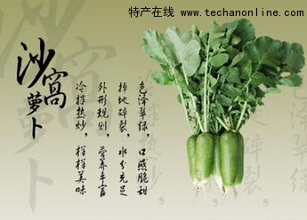 沙沃萝卜