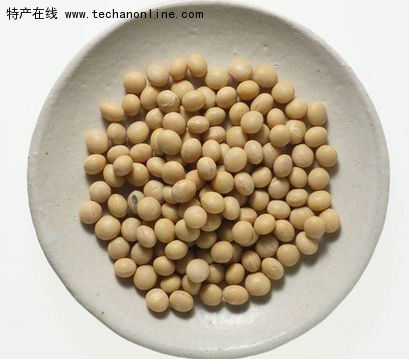 莫力达瓦大豆