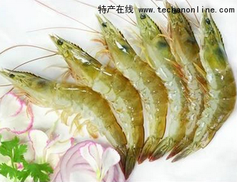 天津南美白对虾