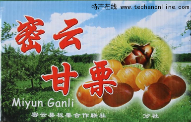 密云甘栗