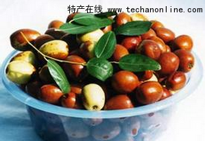 静海金丝小枣