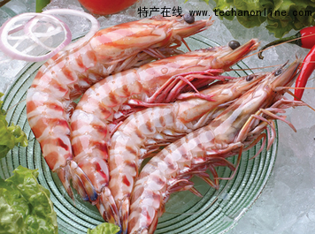 杨家泊对虾