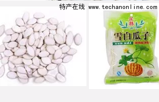 雪白瓜子