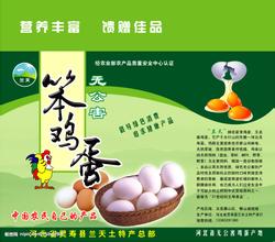 笨鸡蛋