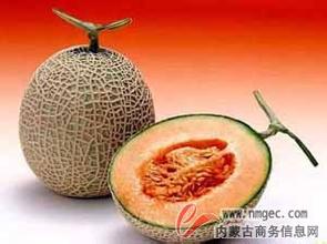 磴口华莱士瓜