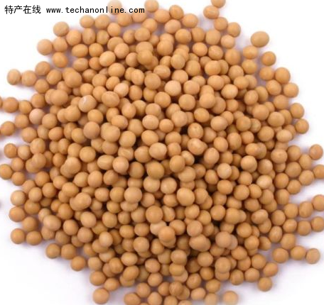 嘉荫大豆