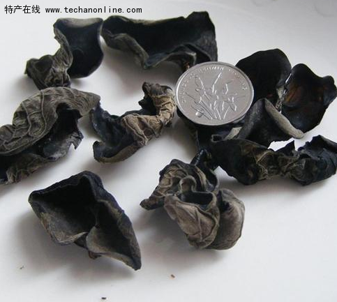 伊春黑木耳