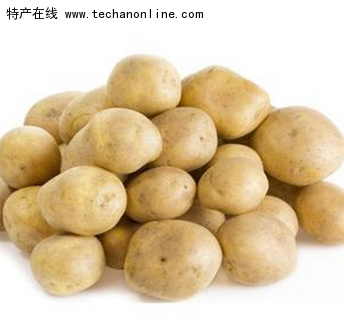讷河马铃薯