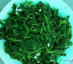 纯天然山野菜