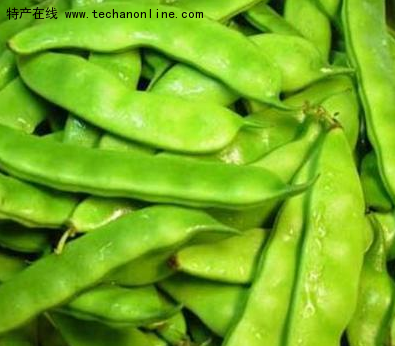 梅里斯油豆角
