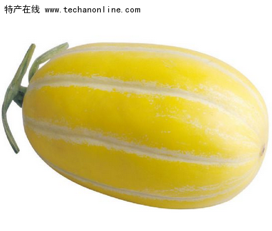 兰西香瓜