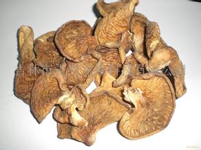 绥芬河元蘑