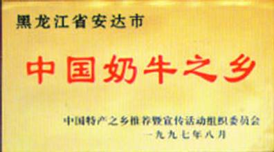 安达奶牛