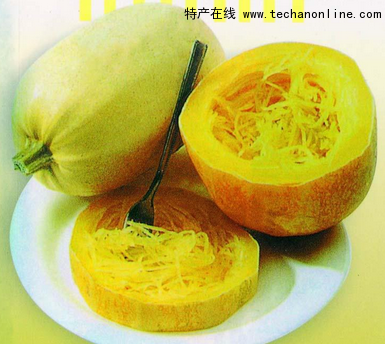 崇明金瓜(金丝瓜)