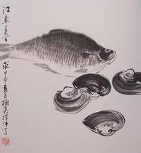 长春鳊（鳊花）