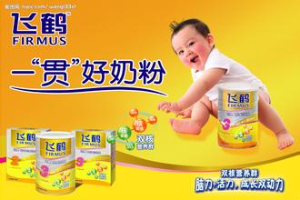 飞鹤乳品