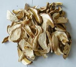 伊春牛肝菌