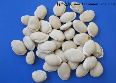 崇明白扁豆