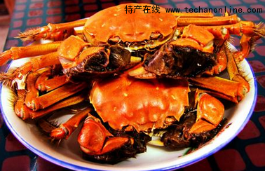 崇明老毛蟹