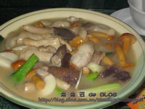 牛干菌