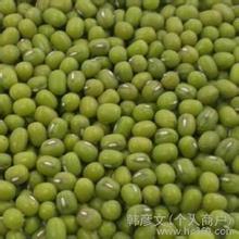 “鹦哥绿”绿豆