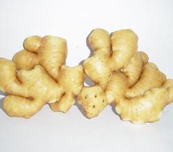 五指岩生姜
