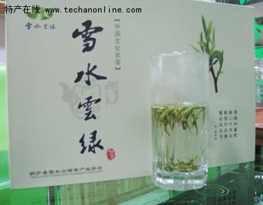 桐庐雪水云绿茶