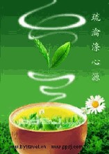 柚乡春名茶