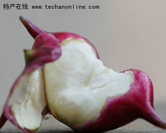 邵伯菱