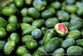 蜂儿香榧