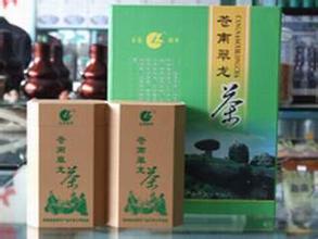 玉苍绿早牌苍南翠龙茶