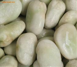白蚕豆