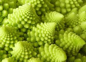 花椰菜