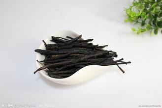 苦丁茶