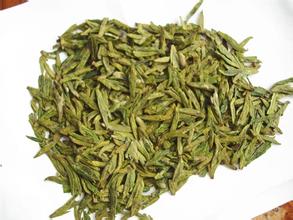 苍南翠龙茶