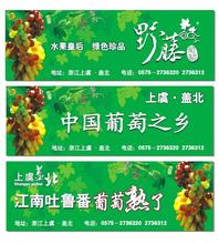 盖北葡萄