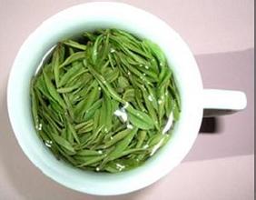 凤阳春茶