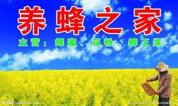 养蜂