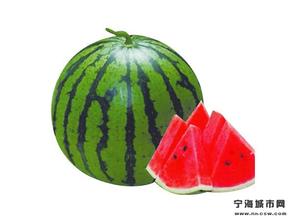 泉丰牌西瓜