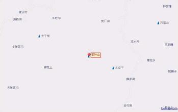车门湾茶叶