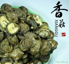 龙泉香菇