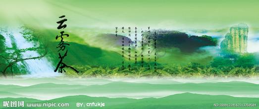 高山云雾茶