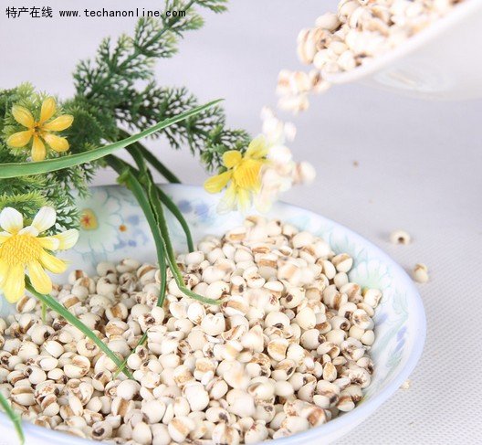 浦城薏米